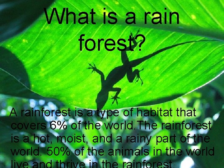 What is a rain forest? A rainforest is a type of habitat that covers