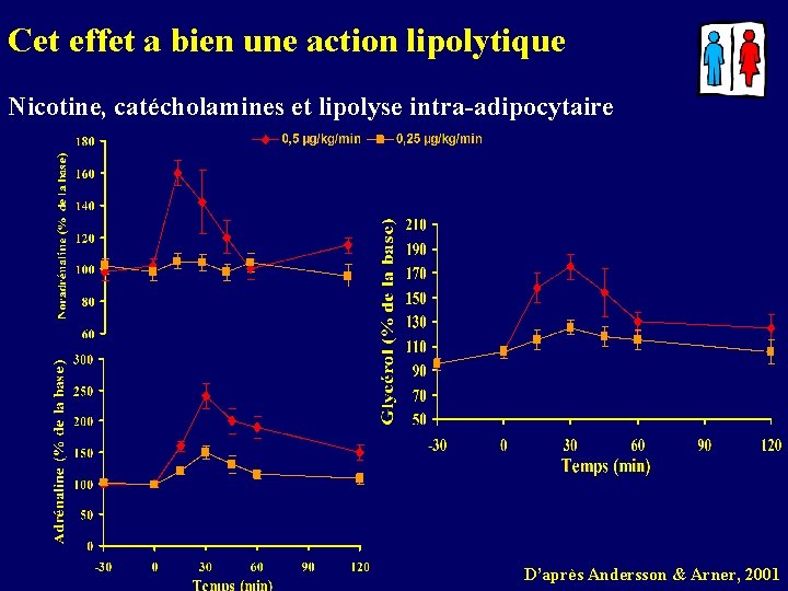 Cet effet a bien une action lipolytique Nicotine, catécholamines et lipolyse intra-adipocytaire D’après Andersson