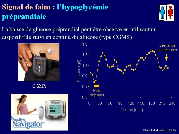 Signal de faim : l’hypoglycémie préprandiale La baisse de glucose préprandial peut être observé