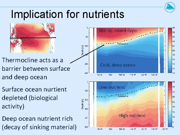 Implication for nutrients Warm, mixed-layer Thermocline acts as a barrier between surface and deep