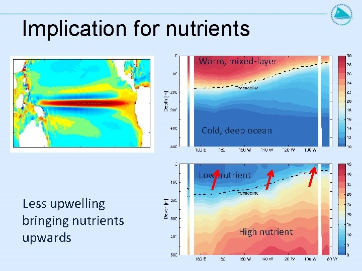 Implication for nutrients Warm, mixed-layer Cold, deep ocean Low nutrient Less upwelling bringing nutrients