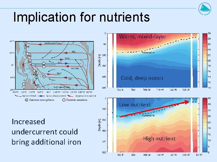 Implication for nutrients Warm, mixed-layer Cold, deep ocean Low nutrient Increased undercurrent could bring