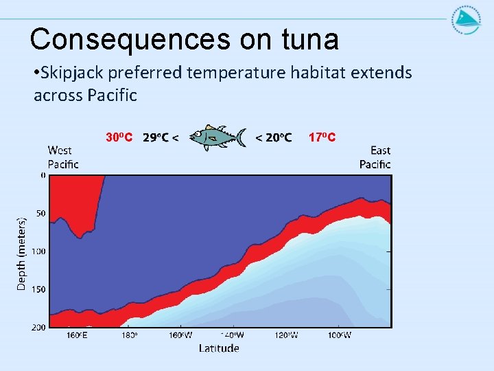 Consequences on tuna • Skipjack preferred temperature habitat extends across Pacific 30 o. C