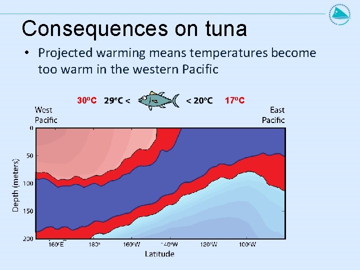 Consequences on tuna • Projected warming means temperatures become too warm in the western