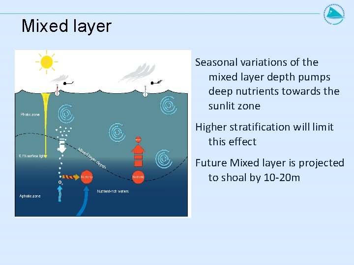 Mixed layer Seasonal variations of the mixed layer depth pumps deep nutrients towards the