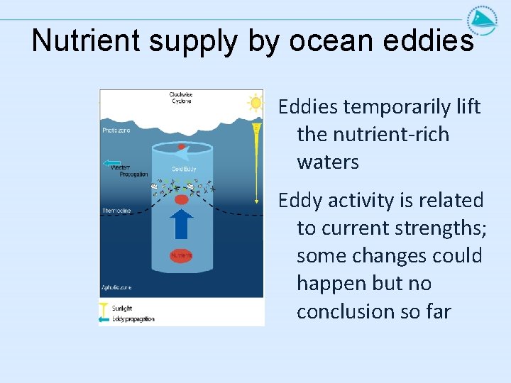 Nutrient supply by ocean eddies Eddies temporarily lift the nutrient-rich waters Eddy activity is