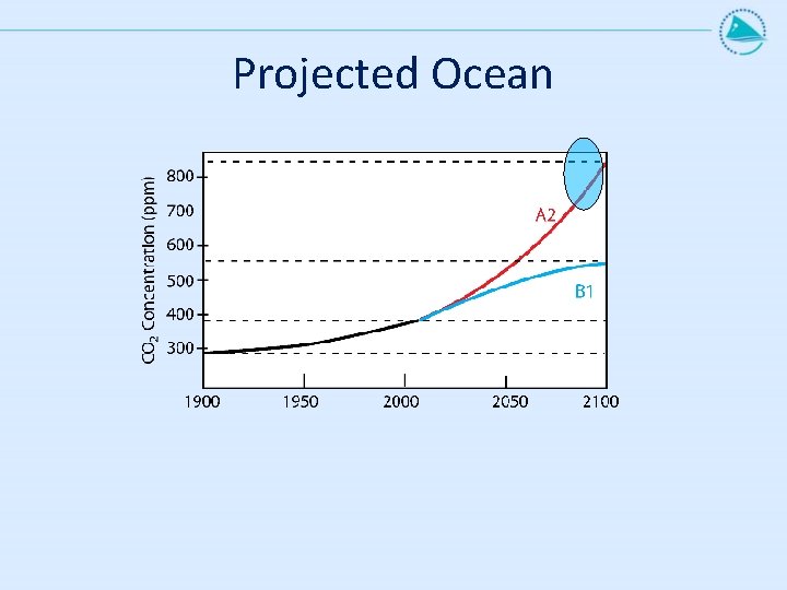 Projected Ocean 