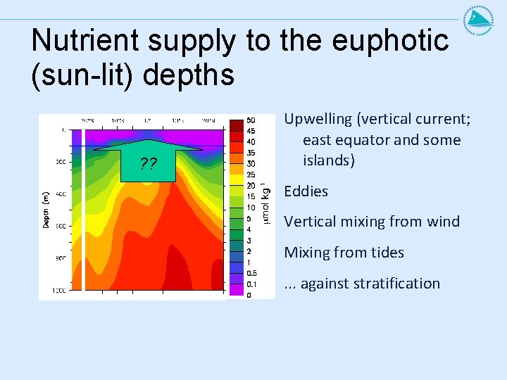 Nutrient supply to the euphotic (sun-lit) depths ? ? Upwelling (vertical current; east equator