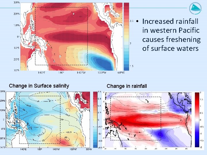  • Increased rainfall in western Pacific causes freshening of surface waters Change in