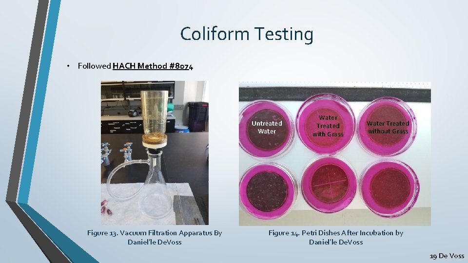 Coliform Testing • Followed HACH Method #8074 Untreated Water Figure 13. Vacuum Filtration Apparatus