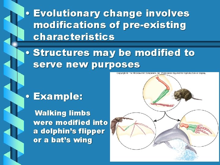  • Evolutionary change involves modifications of pre-existing characteristics • Structures may be modified