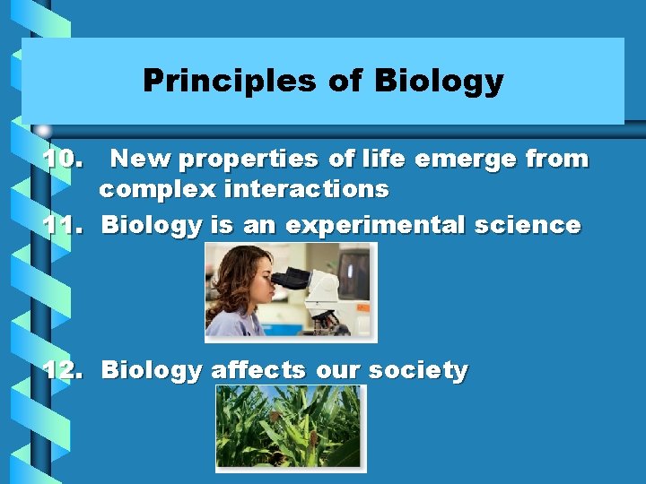 Principles of Biology 10. New properties of life emerge from complex interactions 11. Biology