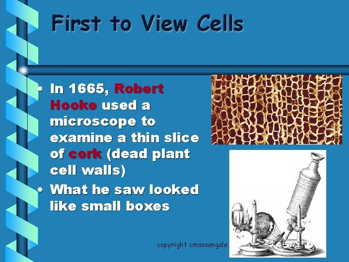 First to View Cells • In 1665, Robert Hooke used a microscope to examine