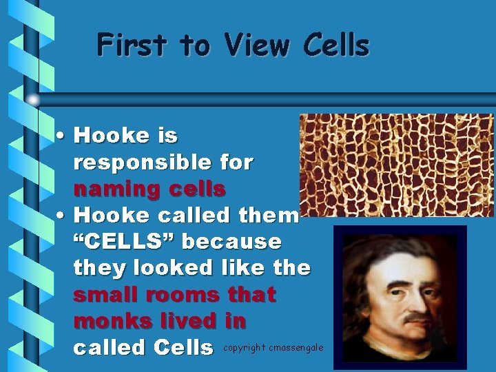 First to View Cells • Hooke is responsible for naming cells • Hooke called