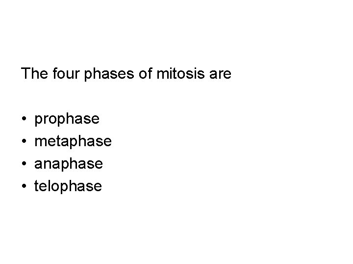 The four phases of mitosis are • • prophase metaphase anaphase telophase 