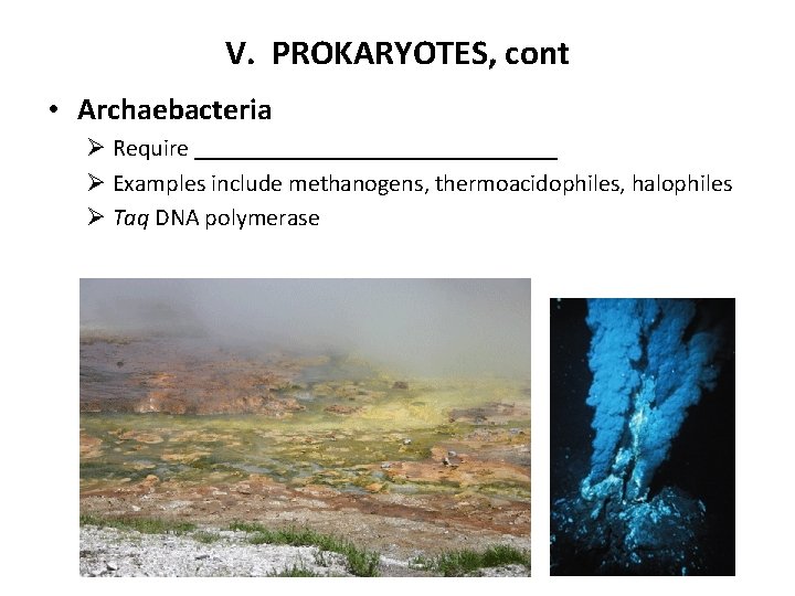 V. PROKARYOTES, cont • Archaebacteria Ø Require _______________ Ø Examples include methanogens, thermoacidophiles, halophiles