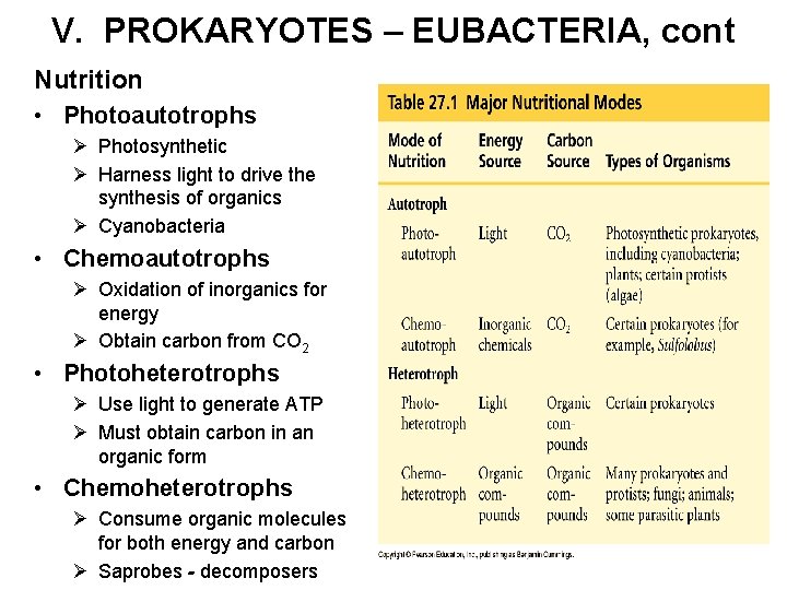 V. PROKARYOTES – EUBACTERIA, cont Nutrition • Photoautotrophs Ø Photosynthetic Ø Harness light to
