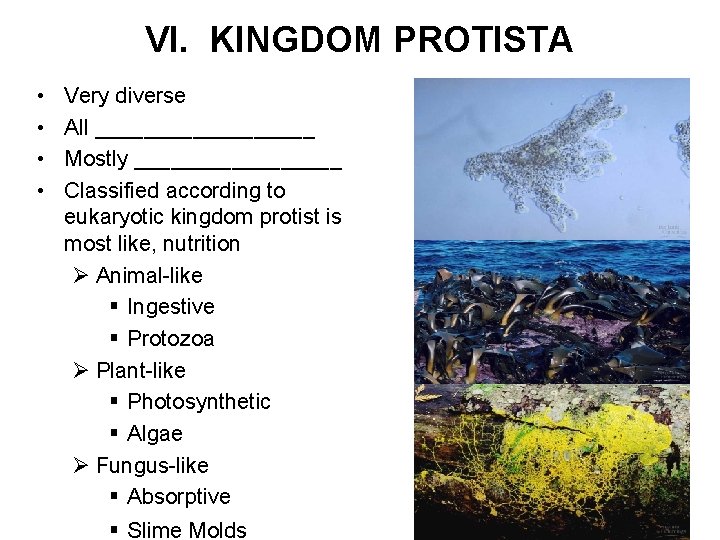 VI. KINGDOM PROTISTA • • Very diverse All _________ Mostly _________ Classified according to