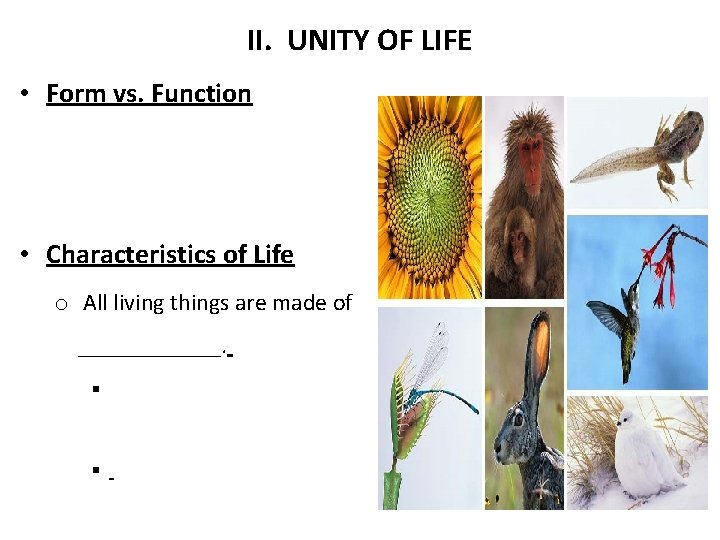 II. UNITY OF LIFE • Form vs. Function • Characteristics of Life o All