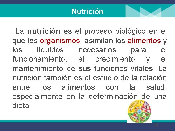 Nutrición La nutrición es el proceso biológico en el que los organismos asimilan los