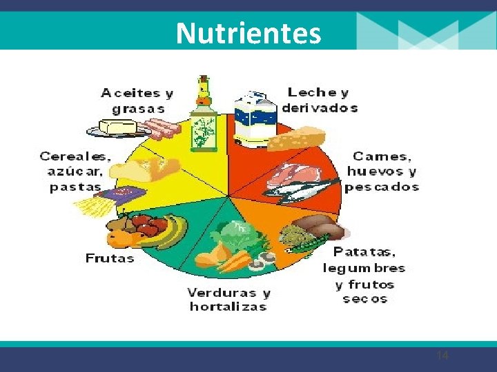 Nutrientes 14 