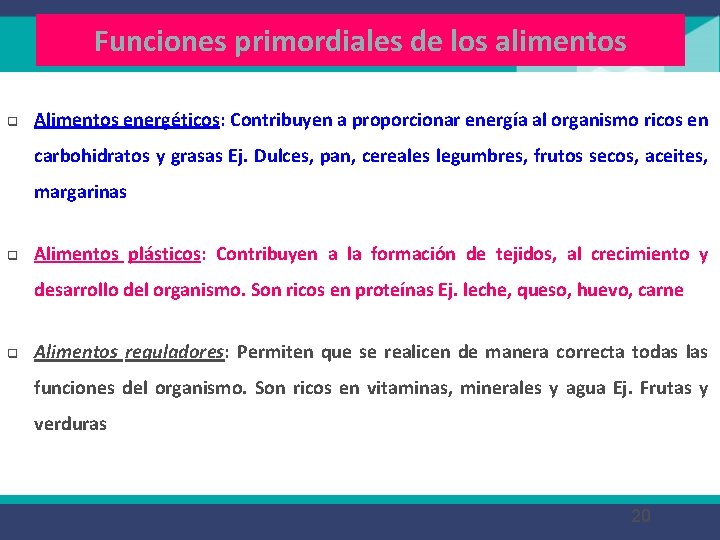 Funciones primordiales de los alimentos q Alimentos energéticos: Contribuyen a proporcionar energía al organismo