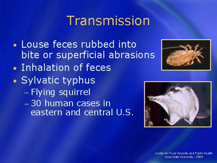 Transmission Louse feces rubbed into bite or superficial abrasions • Inhalation of feces •