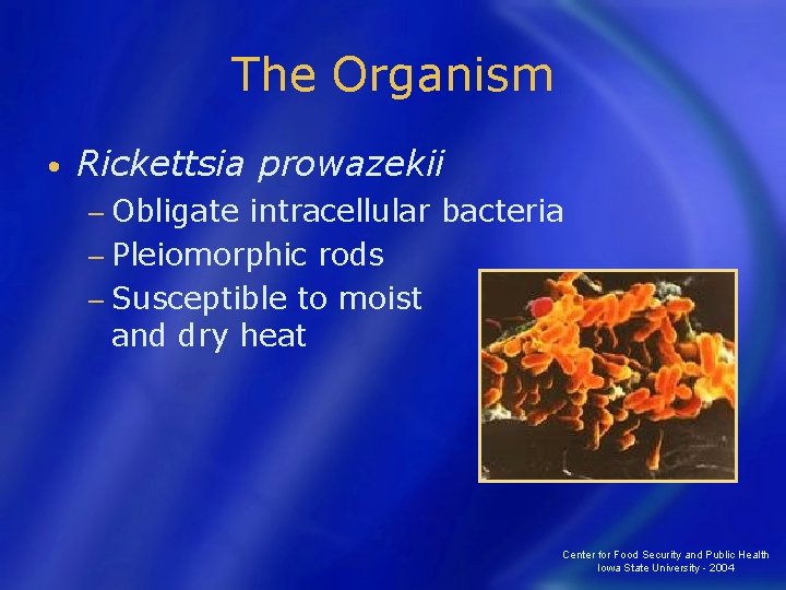 The Organism • Rickettsia prowazekii − Obligate intracellular bacteria − Pleiomorphic rods − Susceptible