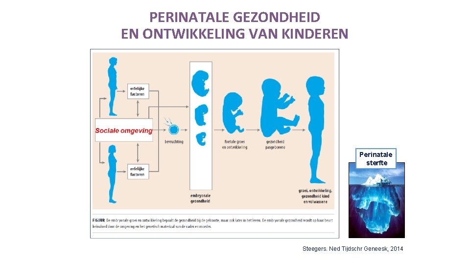 PERINATALE GEZONDHEID EN ONTWIKKELING VAN KINDEREN Perinatale sterfte Steegers. Ned Tijdschr Geneesk, 2014 