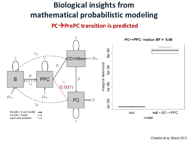 Biological insights from mathematical probabilistic modeling PC Pre. PC transition is predicted Chaidos et