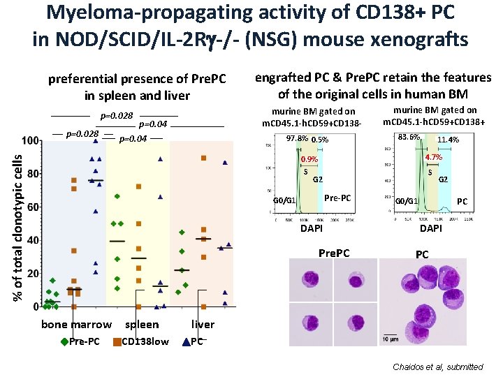 Myeloma-propagating activity of CD 138+ PC in NOD/SCID/IL-2 R -/- (NSG) mouse xenografts preferential