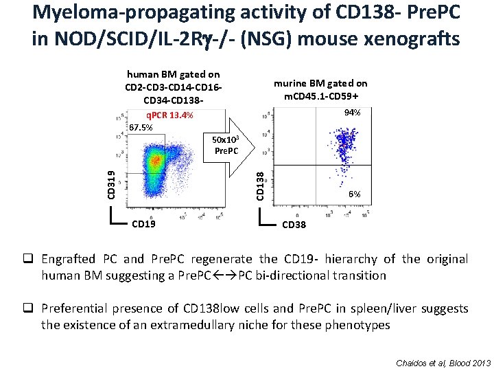 Myeloma-propagating activity of CD 138 - Pre. PC in NOD/SCID/IL-2 R -/- (NSG) mouse