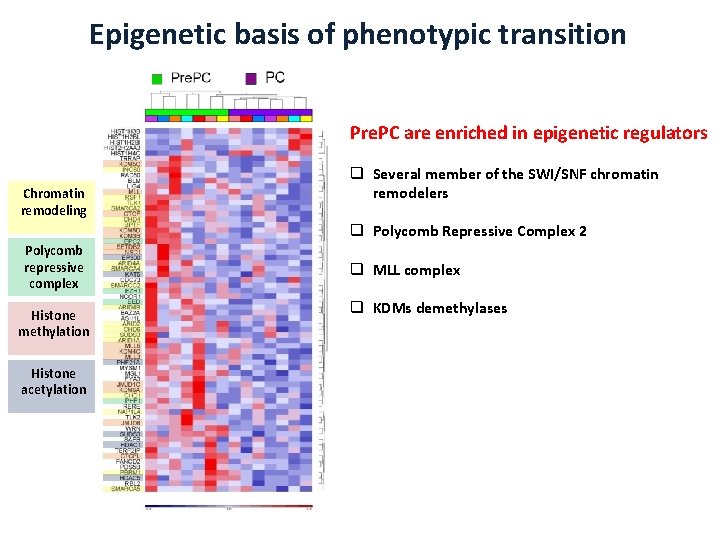 Epigenetic basis of phenotypic transition Pre. PC are enriched in epigenetic regulators Chromatin remodeling
