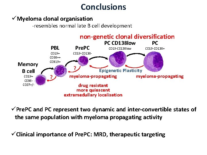 Conclusions üMyeloma clonal organisation -resembles normal late B cell development non-genetic clonal diversification PBL
