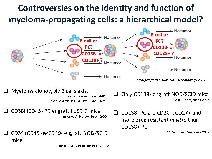 Controversies on the identity and function of myeloma-propagating cells: a hierarchical model? B cell