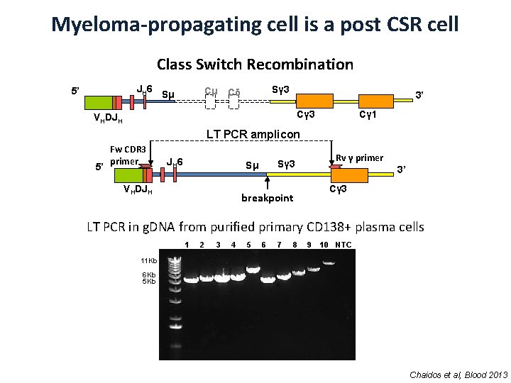 Myeloma-propagating cell is a post CSR cell Class Switch Recombination JH 6 5’ Cμ