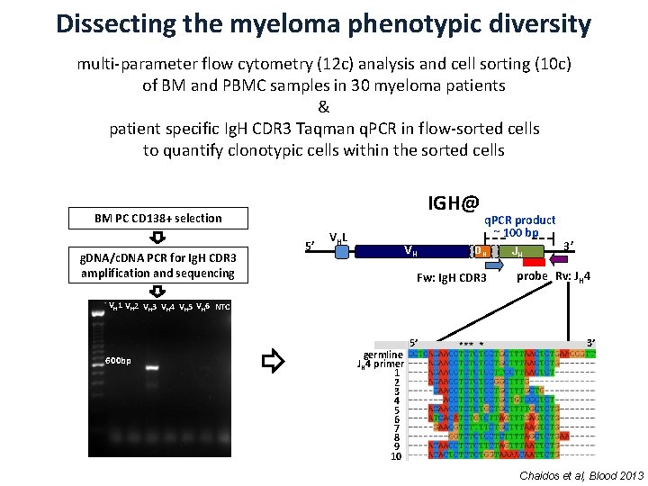 Dissecting the myeloma phenotypic diversity multi-parameter flow cytometry (12 c) analysis and cell sorting