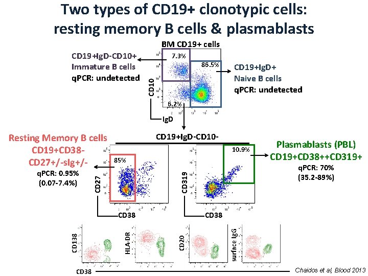 Two types of CD 19+ clonotypic cells: resting memory B cells & plasmablasts BM