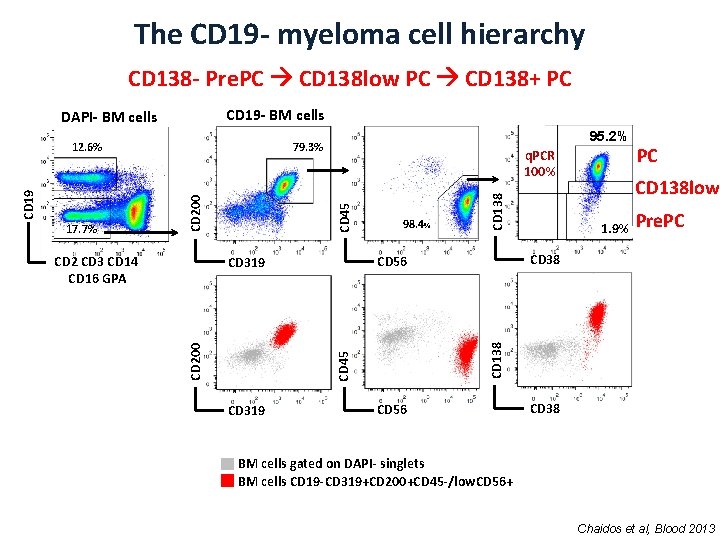 The CD 19 - myeloma cell hierarchy CD 138 - Pre. PC CD 138