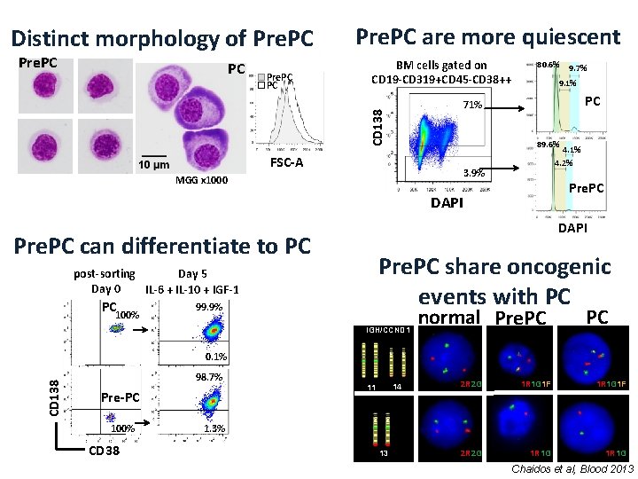 Distinct morphology of Pre. PC PC BM cells gated on CD 19 -CD 319+CD