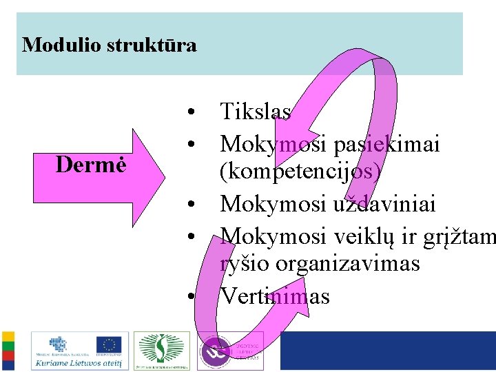 Modulio struktūra Dermė • Tikslas • Mokymosi pasiekimai (kompetencijos) • Mokymosi uždaviniai • Mokymosi