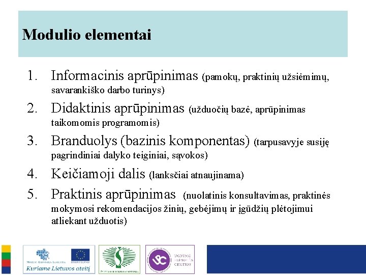 Modulio elementai 1. Informacinis aprūpinimas (pamokų, praktinių užsiėmimų, savarankiško darbo turinys) 2. Didaktinis aprūpinimas