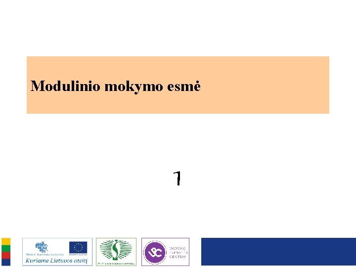 Modulinio mokymo esmė 1 