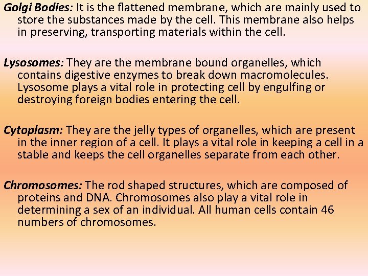 Golgi Bodies: It is the flattened membrane, which are mainly used to store the