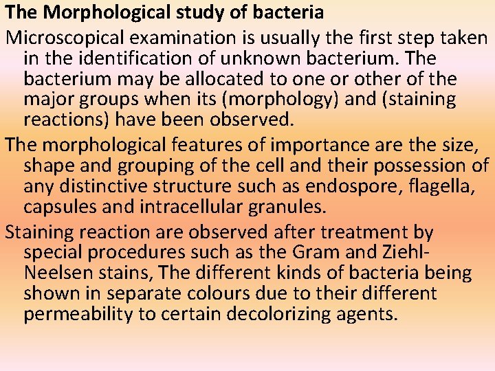 The Morphological study of bacteria Microscopical examination is usually the first step taken in