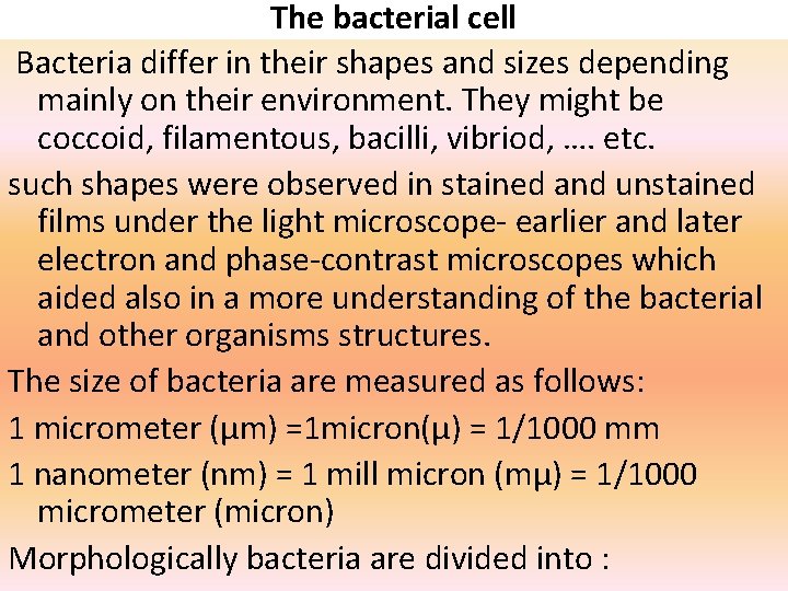 The bacterial cell Bacteria differ in their shapes and sizes depending mainly on their
