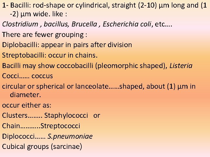 1 - Bacilli: rod-shape or cylindrical, straight (2 -10) µm long and (1 -2)