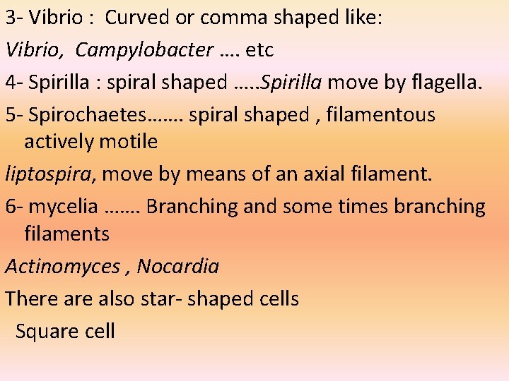 3 - Vibrio : Curved or comma shaped like: Vibrio, Campylobacter …. etc 4