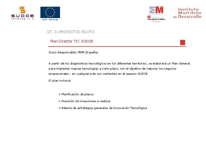 GT. 3. PROYECTOS PILOTO Plan Director TIC SUDOE Socio Responsable: FMM (España) A partir