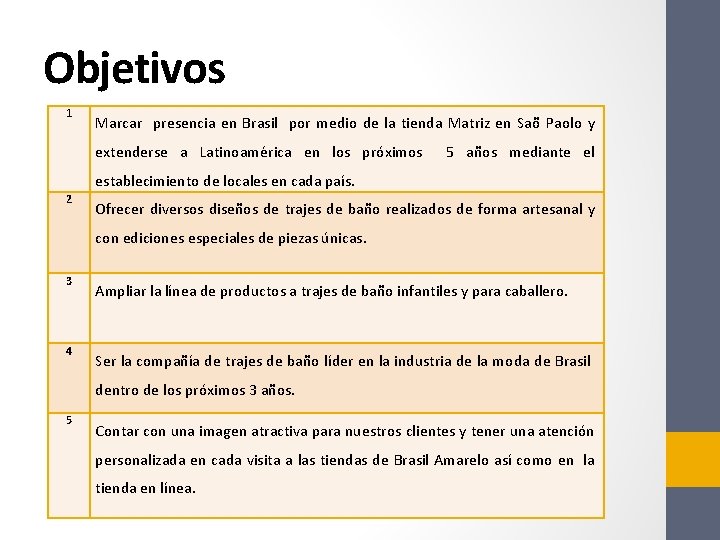 Objetivos 1 Marcar presencia en Brasil por medio de la tienda Matriz en Saõ